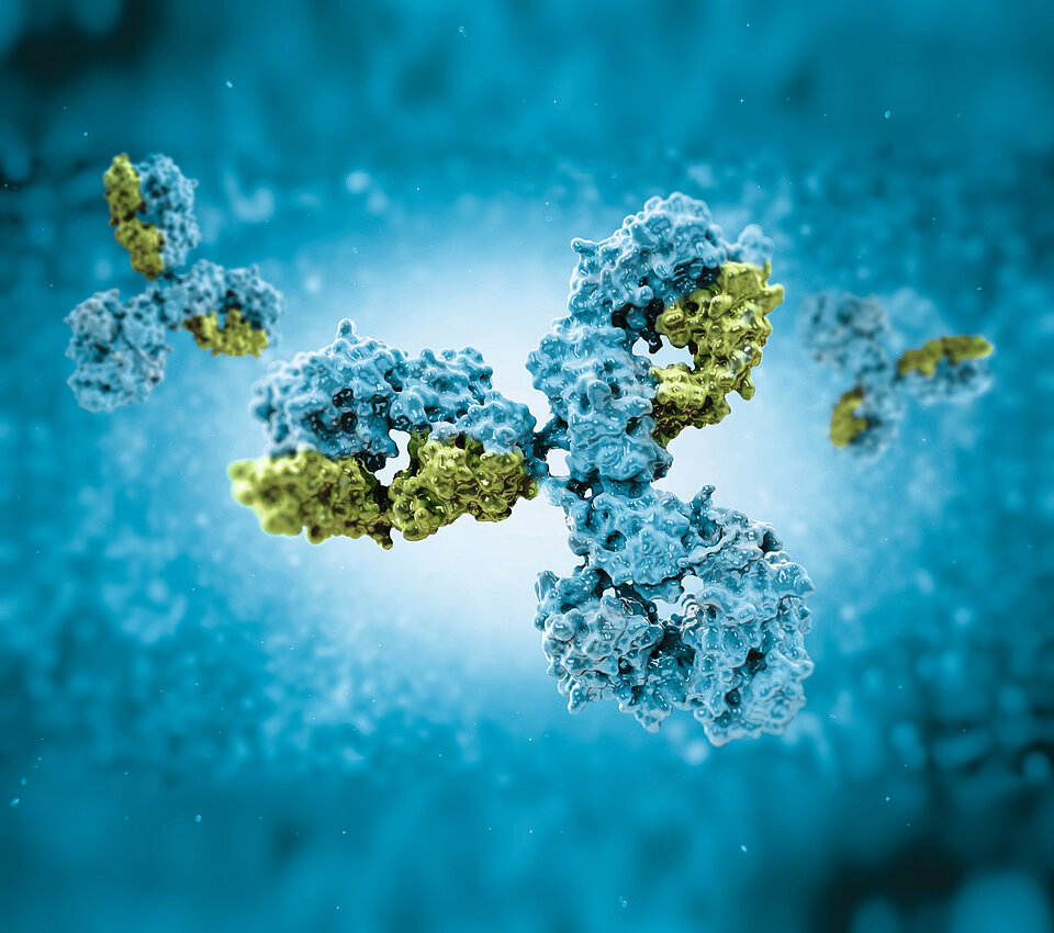 Immunologische Stuhldiagnostik