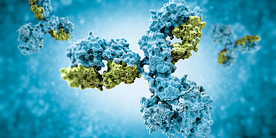 Immunologische Stuhldiagnostik