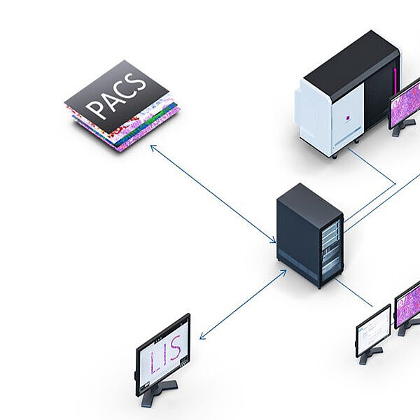 Datenmanagement &amp; Integration