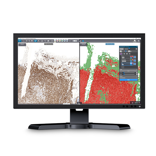 Visualisierung, Datenmanagement und Analyse