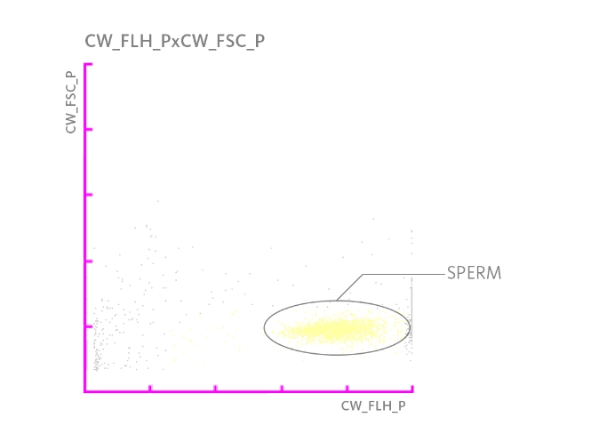 Scattergramm, das eine Population von Spermatozoen zeigt. 