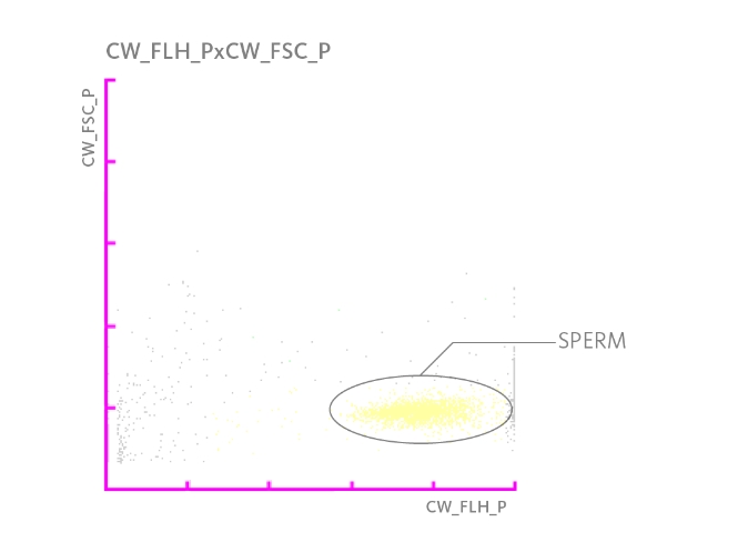 Scattergramm, das eine Population von Spermatozoen zeigt.