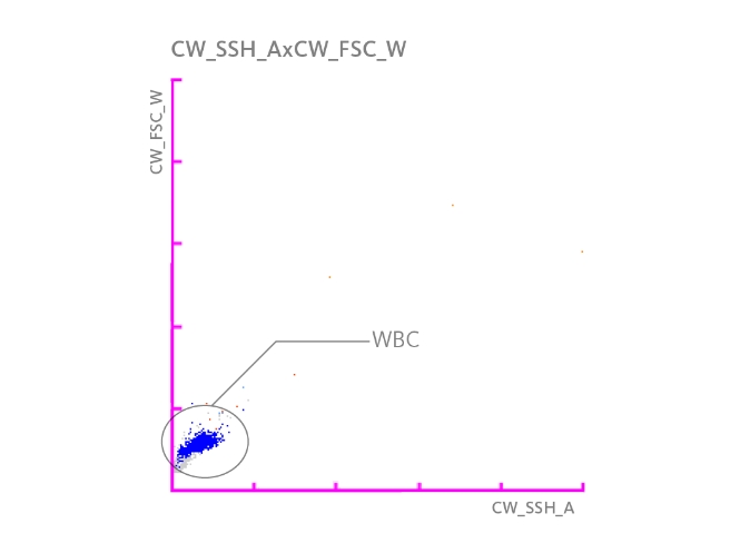 Scattergramm, das eine WBC-Population zeigt.