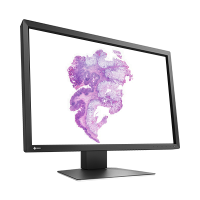 EIZO MX243W