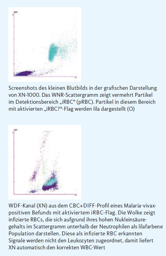 Unschönes Souvenir